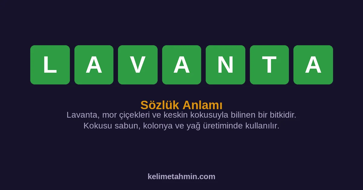 LAVANTA LAVANTA — anlamı ve örnek cümleler