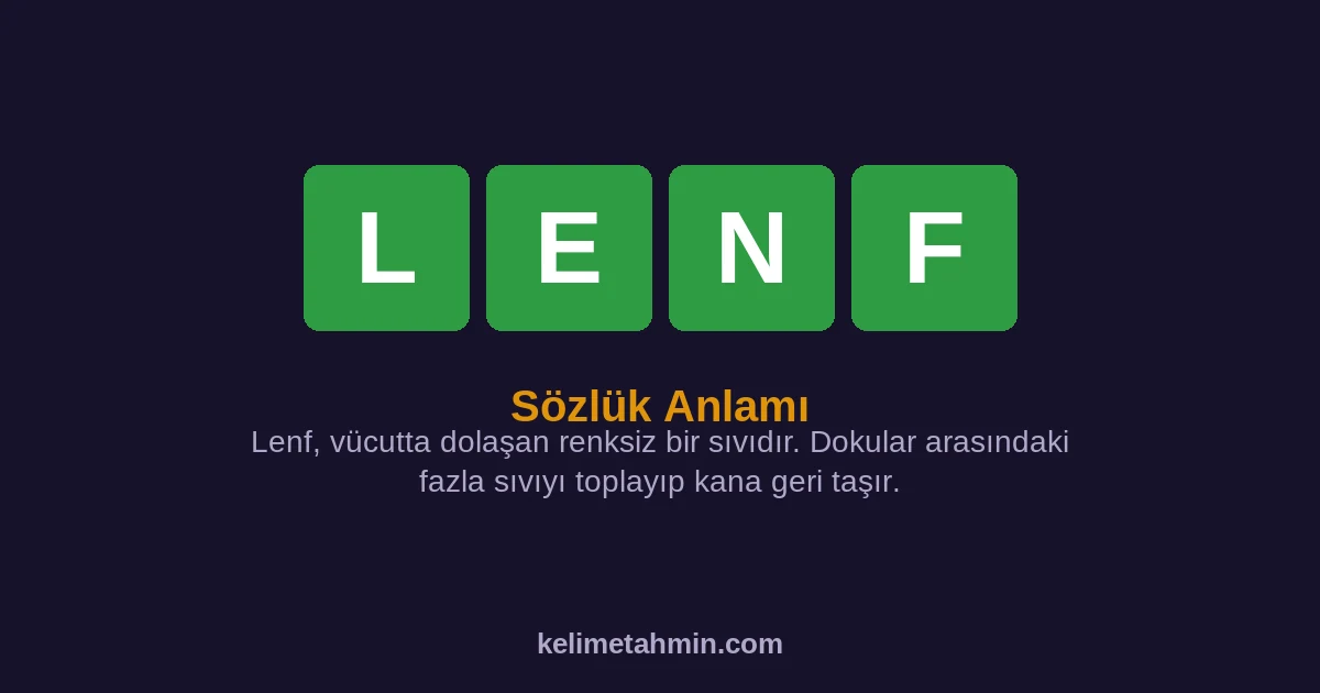 LENF LENF — anlamı ve örnek cümleler