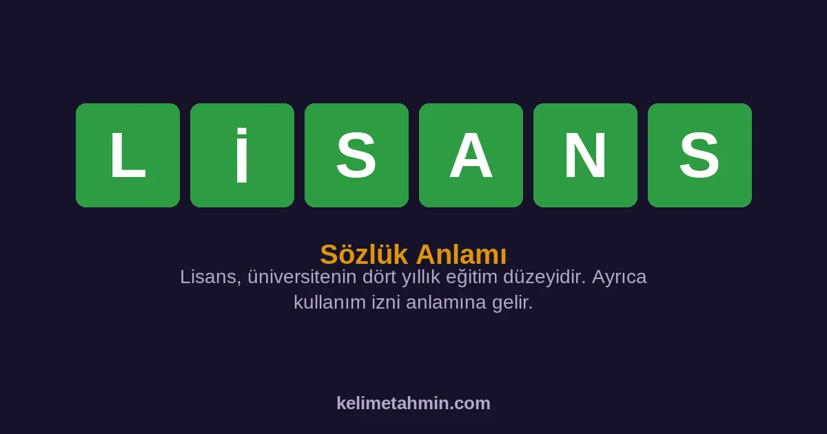 LİSANS LİSANS — anlamı ve örnek cümleler