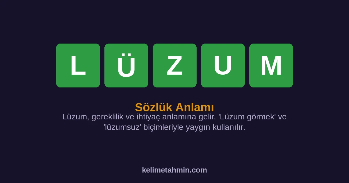 LÜZUM LÜZUM — anlamı ve örnek cümleler