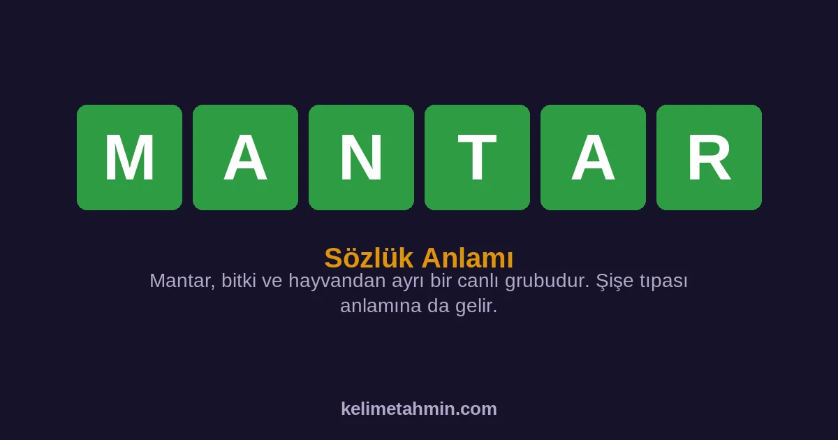 MANTAR MANTAR — anlamı ve örnek cümleler