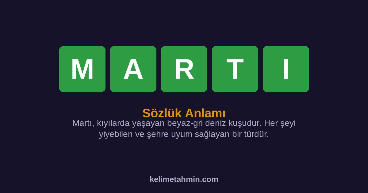 MARTI MARTI — anlamı ve örnek cümleler