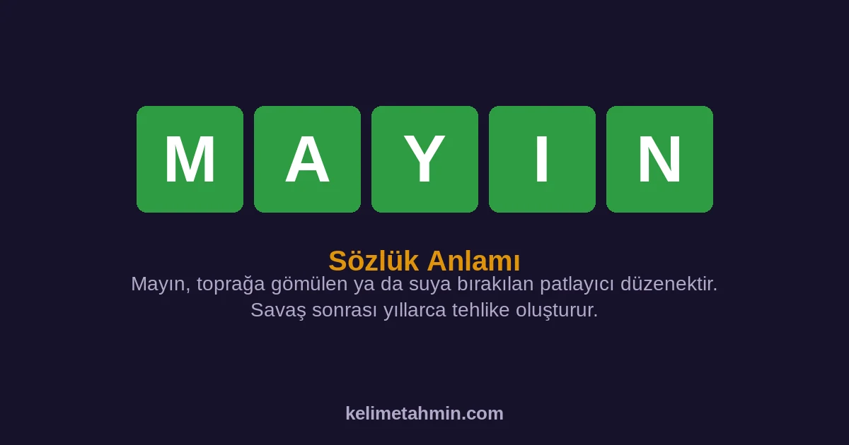 MAYIN MAYIN — anlamı ve örnek cümleler