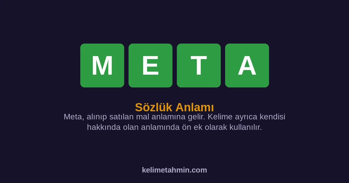 META META — anlamı ve örnek cümleler