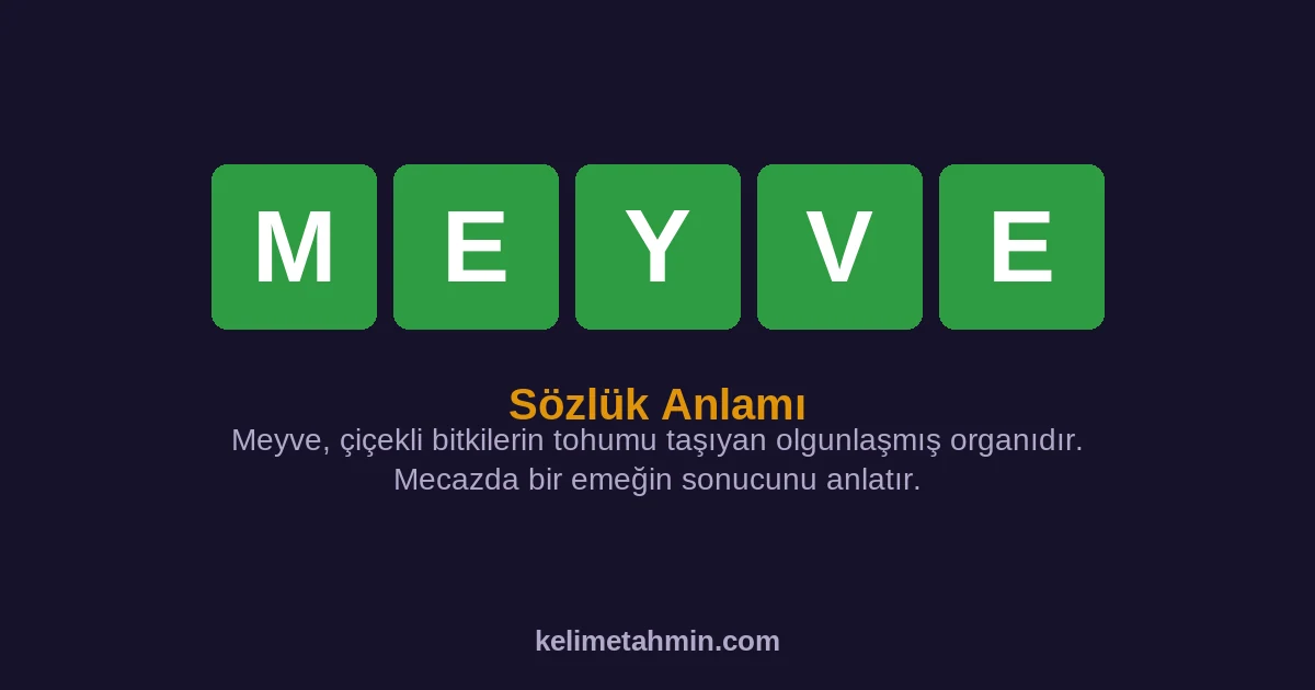 MEYVE MEYVE — anlamı ve örnek cümleler