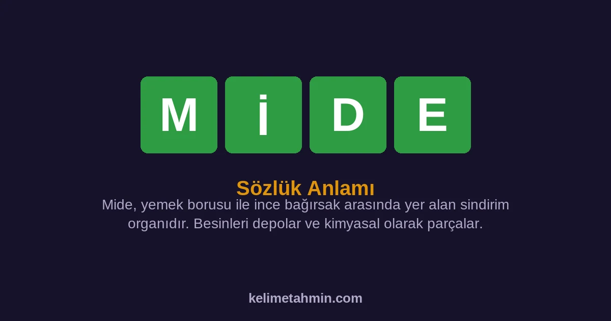 MİDE MİDE — anlamı ve örnek cümleler