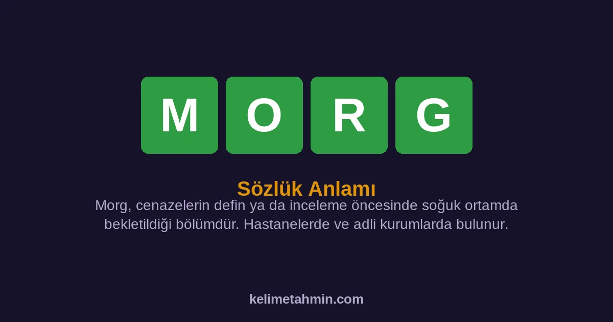 MORG MORG — anlamı ve örnek cümleler