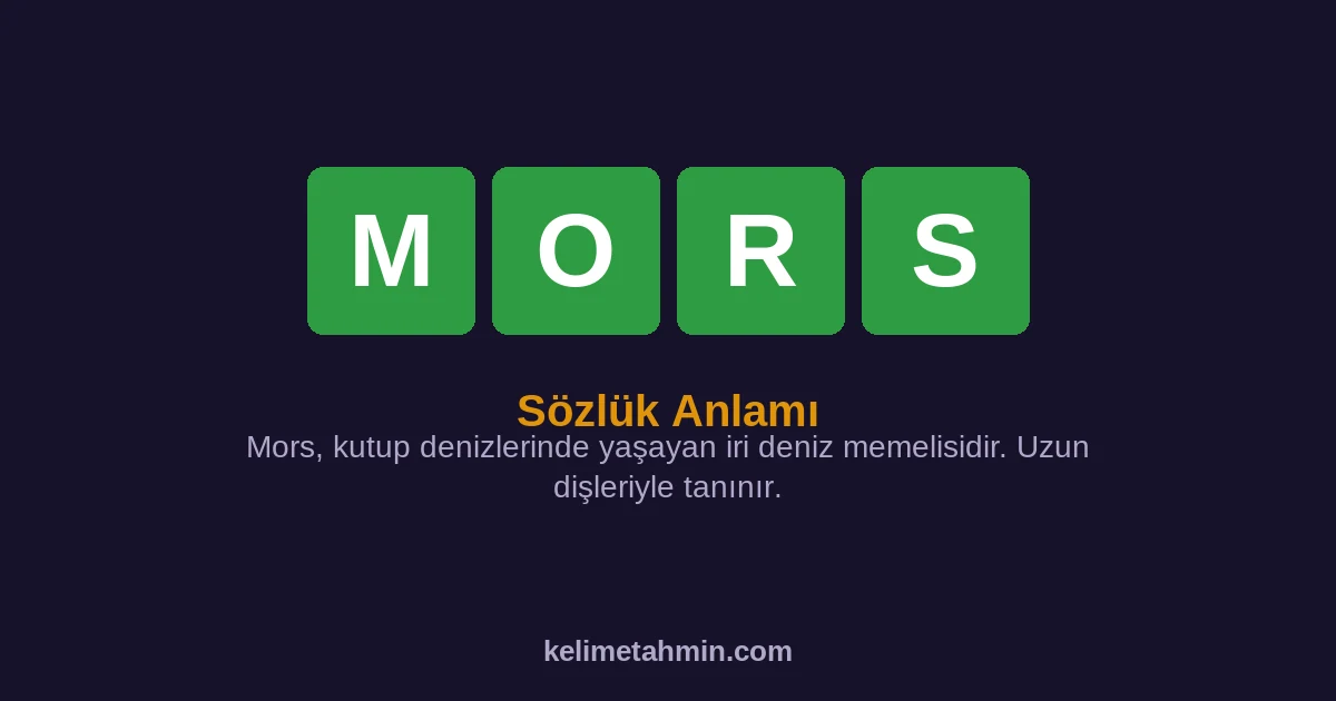 MORS MORS — anlamı ve örnek cümleler