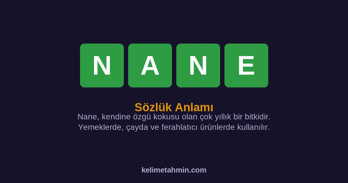NANE NANE — anlamı ve örnek cümleler