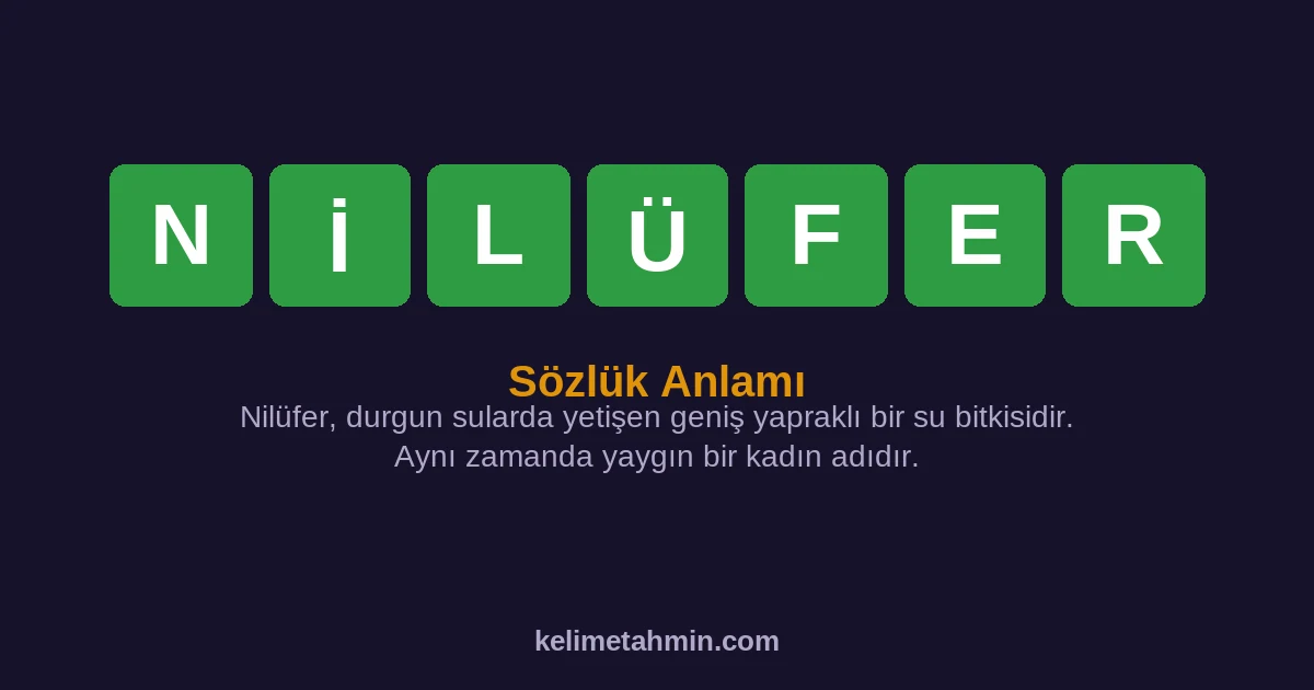 NİLÜFER NİLÜFER — anlamı ve örnek cümleler