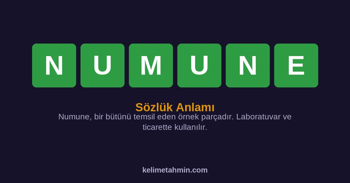 NUMUNE NUMUNE — anlamı ve örnek cümleler