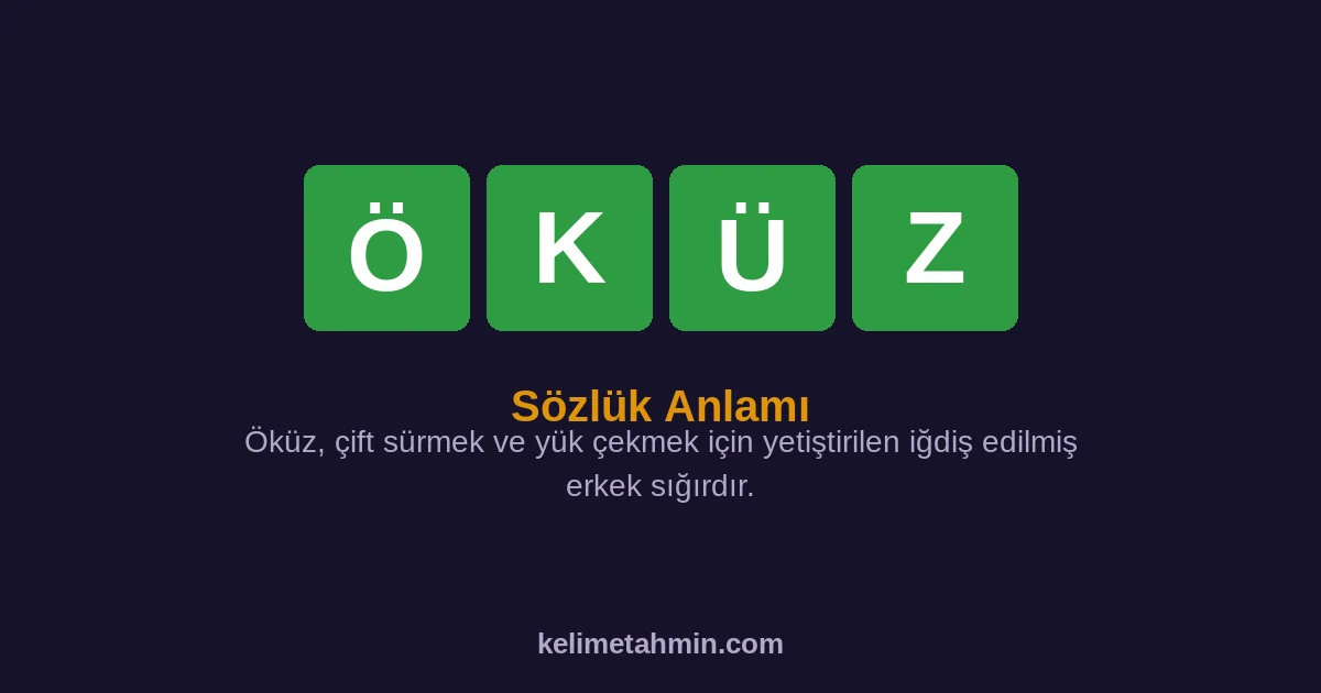 ÖKÜZ ÖKÜZ — anlamı ve örnek cümleler