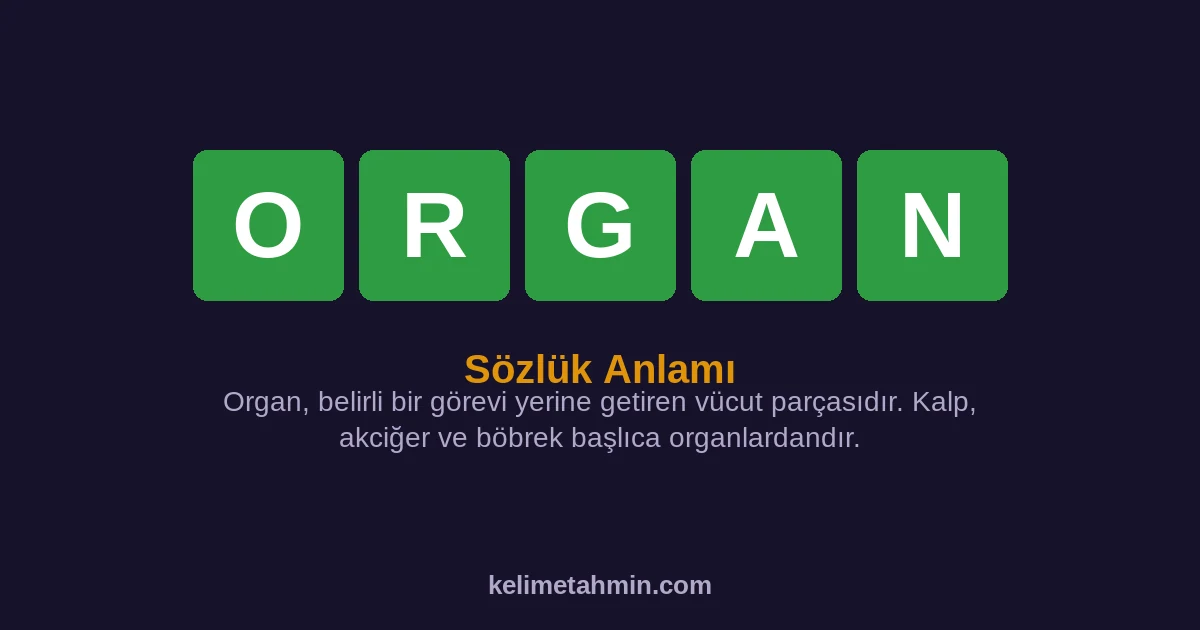 ORGAN ORGAN — anlamı ve örnek cümleler
