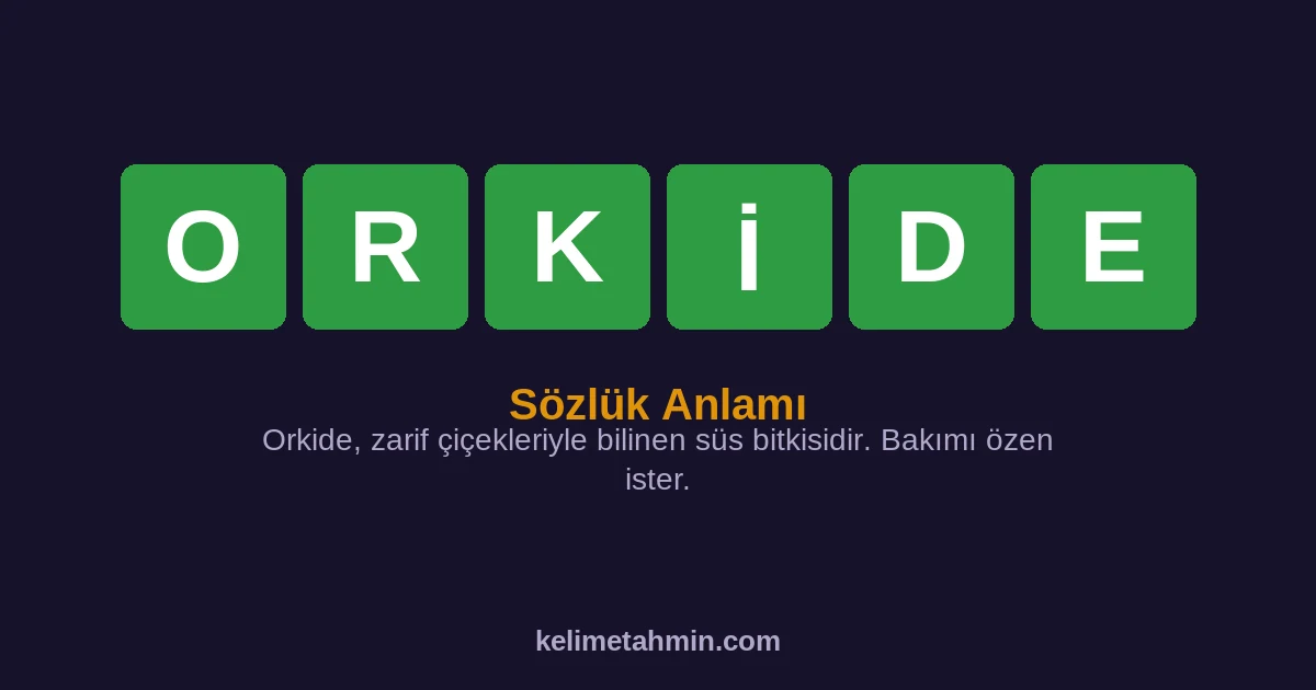 ORKİDE ORKİDE — anlamı ve örnek cümleler