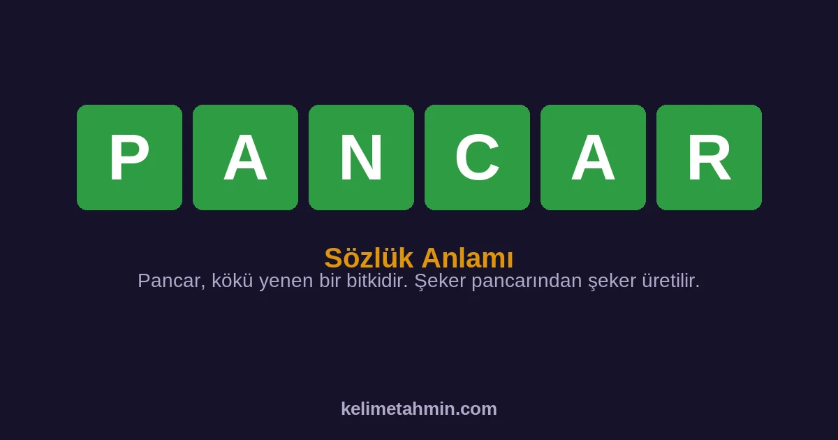 PANCAR PANCAR — anlamı ve örnek cümleler
