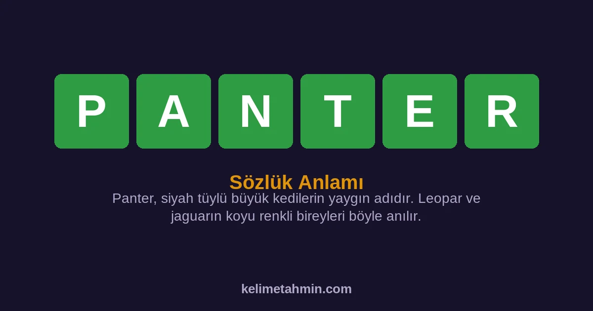 PANTER PANTER — anlamı ve örnek cümleler