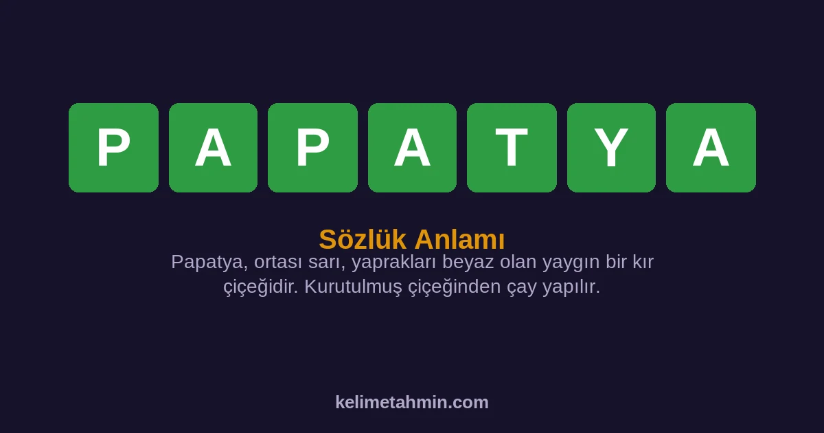 PAPATYA PAPATYA — anlamı ve örnek cümleler