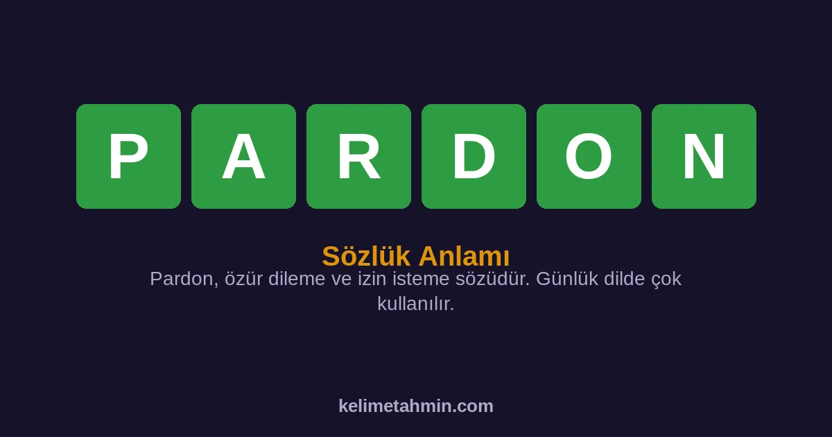 PARDON PARDON — anlamı ve örnek cümleler