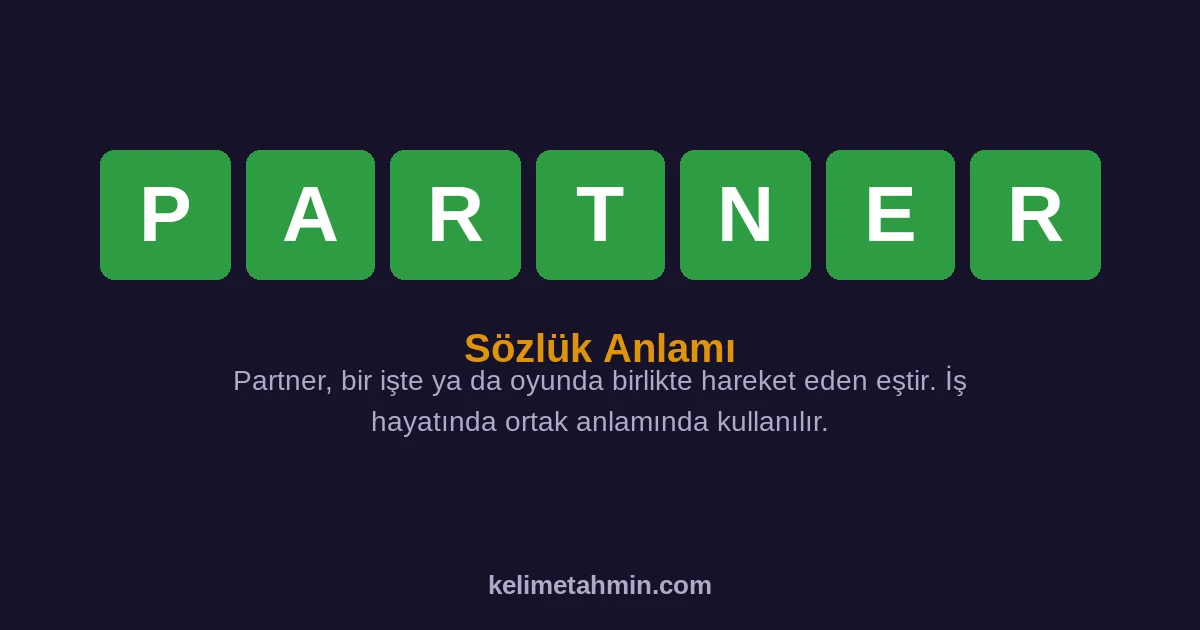 PARTNER PARTNER — anlamı ve örnek cümleler