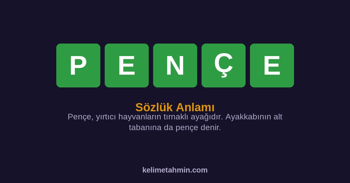 PENÇE PENÇE — anlamı ve örnek cümleler