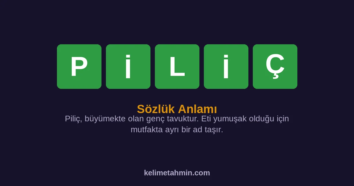 PİLİÇ PİLİÇ — anlamı ve örnek cümleler