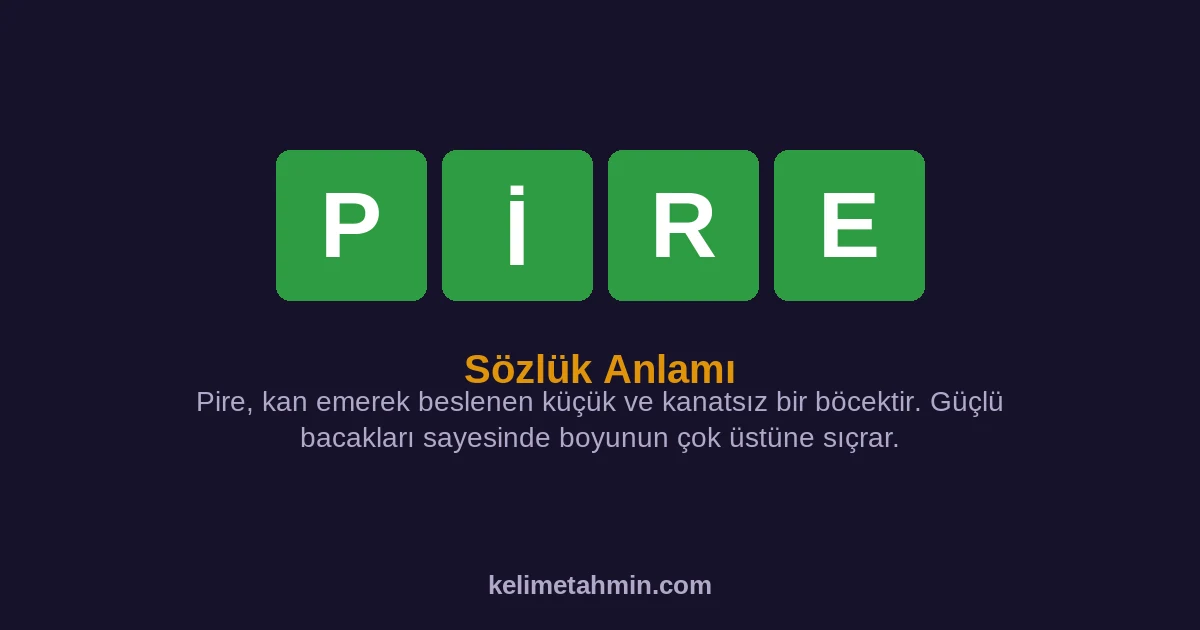 PİRE PİRE — anlamı ve örnek cümleler