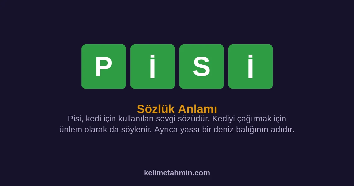 PİSİ PİSİ — anlamı ve örnek cümleler