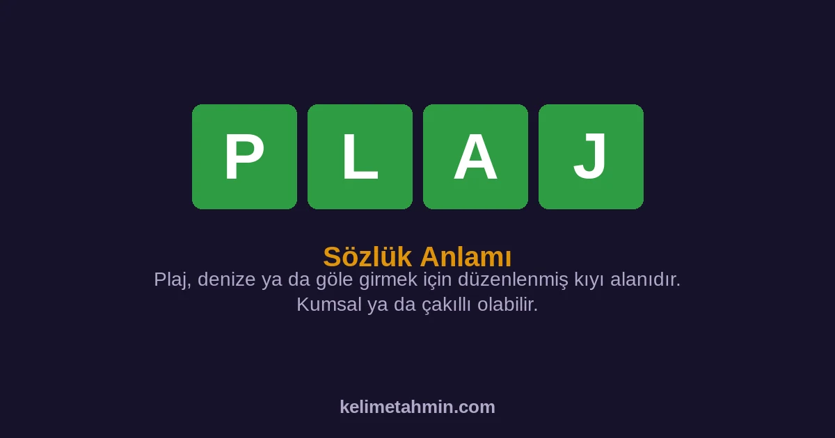 PLAJ PLAJ — anlamı ve örnek cümleler
