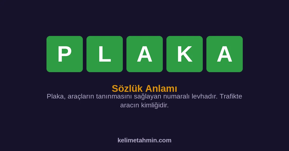 PLAKA PLAKA — anlamı ve örnek cümleler