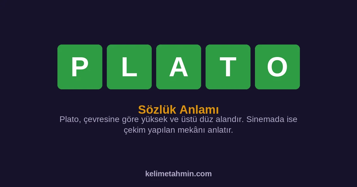 PLATO PLATO — anlamı ve örnek cümleler