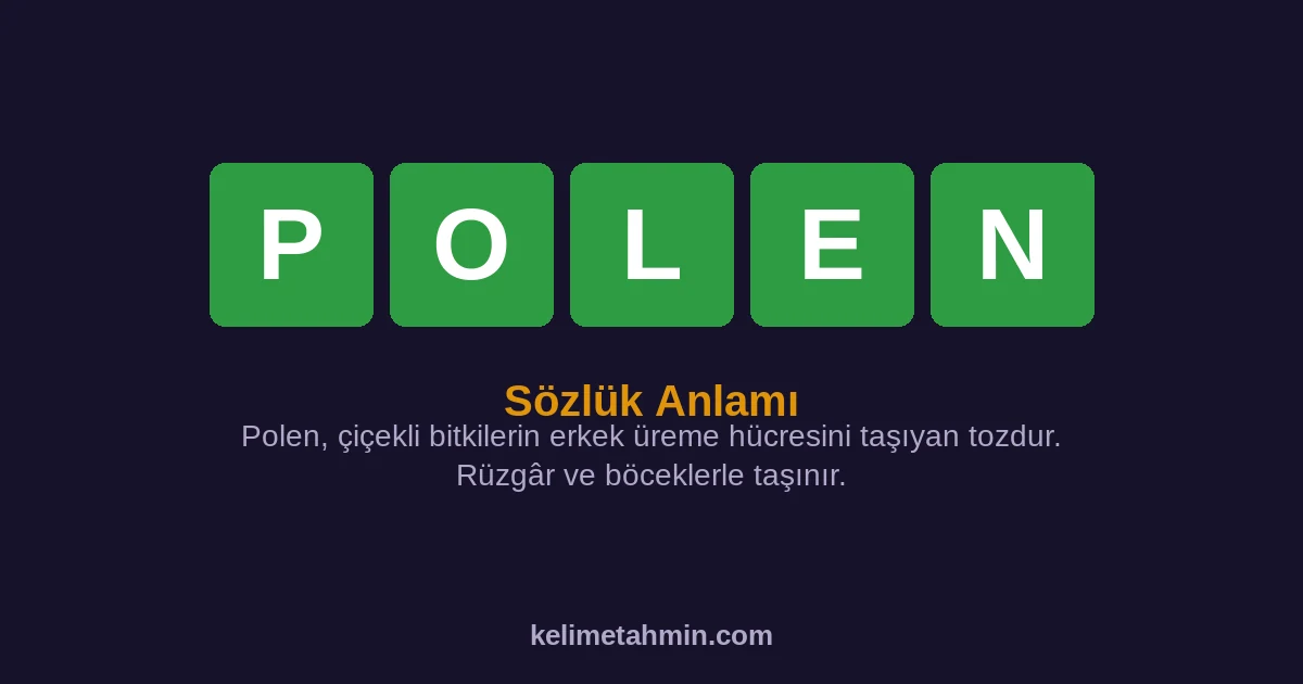 POLEN POLEN — anlamı ve örnek cümleler
