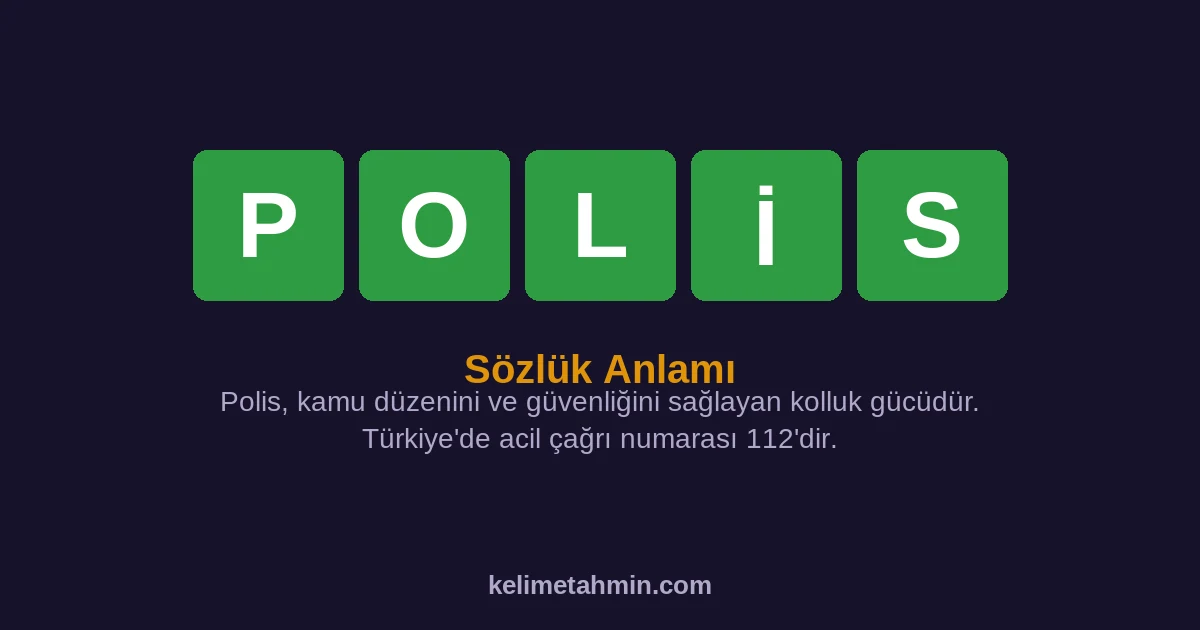 POLİS POLİS — anlamı ve örnek cümleler