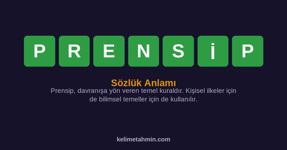 PRENSİP PRENSİP — anlamı ve örnek cümleler