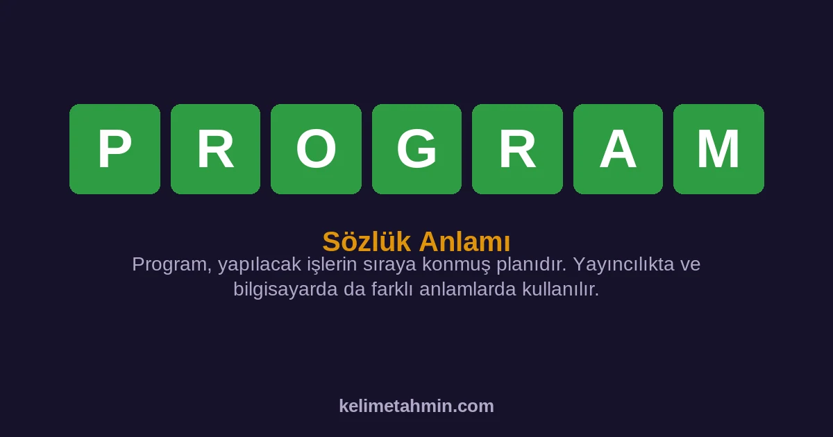 PROGRAM PROGRAM — anlamı ve örnek cümleler
