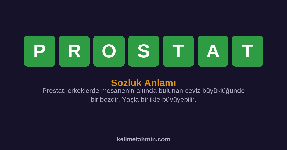 PROSTAT PROSTAT — anlamı ve örnek cümleler