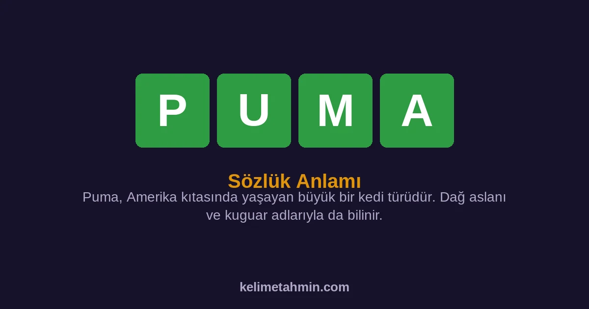 PUMA PUMA — anlamı ve örnek cümleler