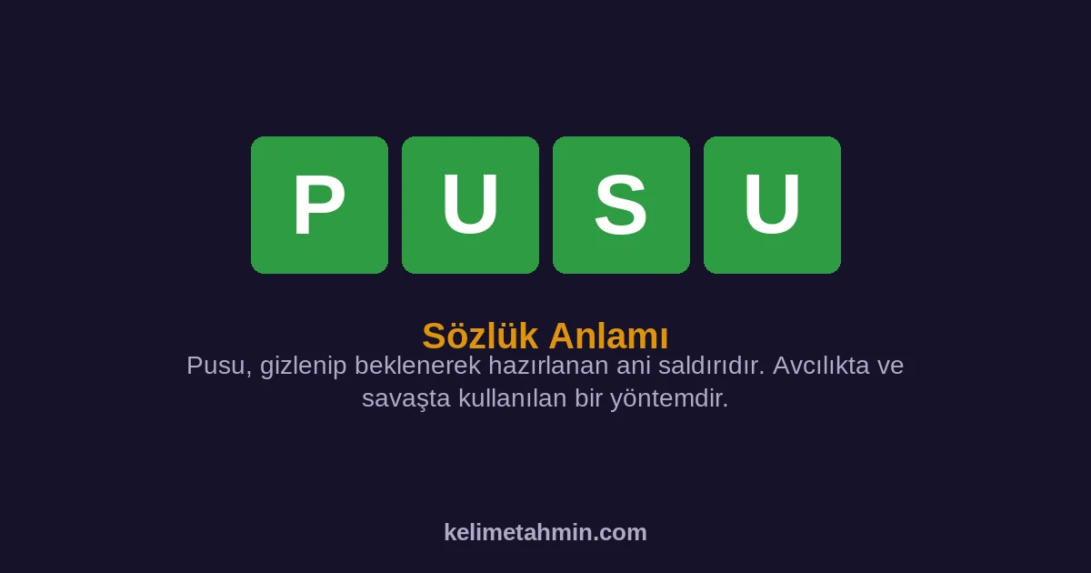 PUSU PUSU — anlamı ve örnek cümleler