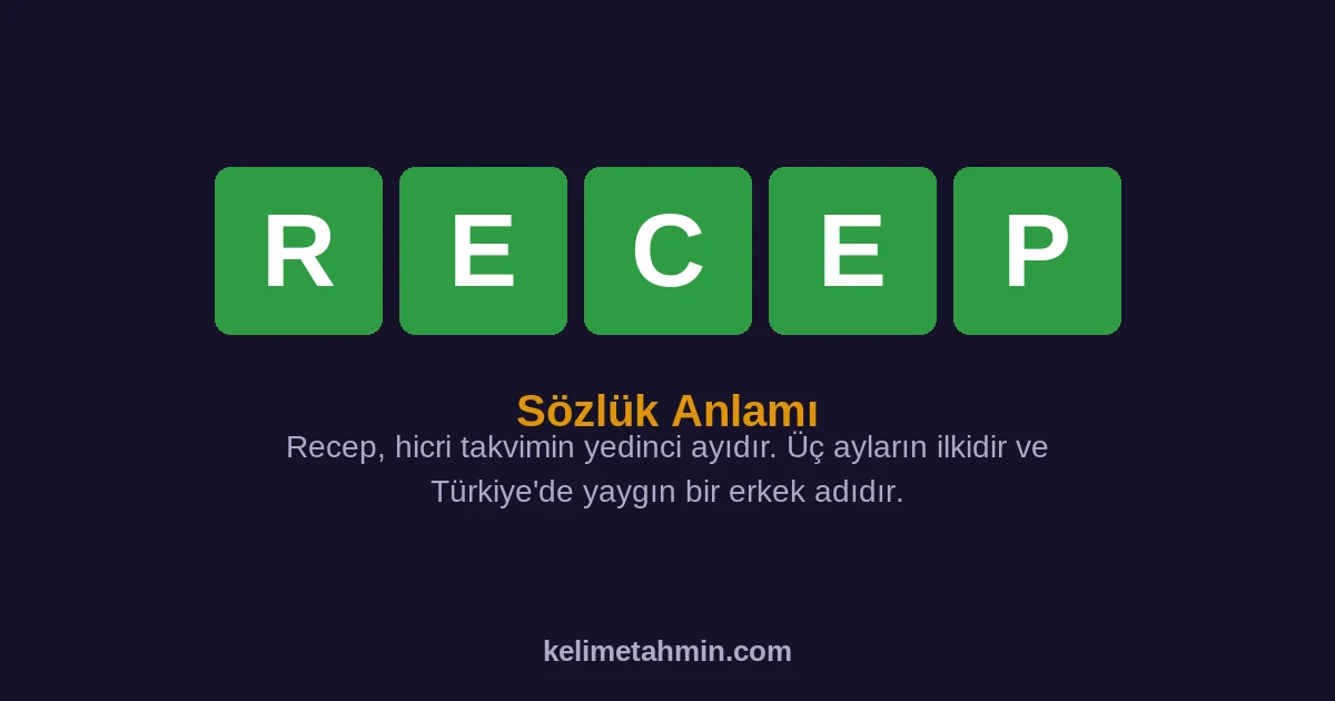 RECEP RECEP — anlamı ve örnek cümleler