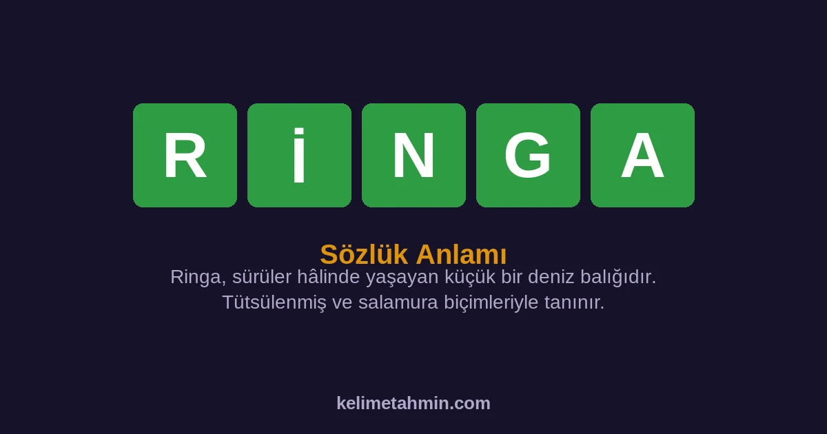RİNGA RİNGA — anlamı ve örnek cümleler