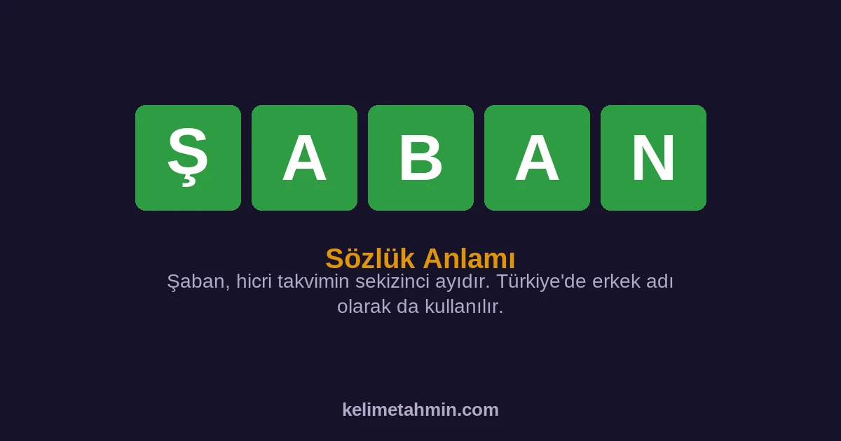 ŞABAN ŞABAN — anlamı ve örnek cümleler
