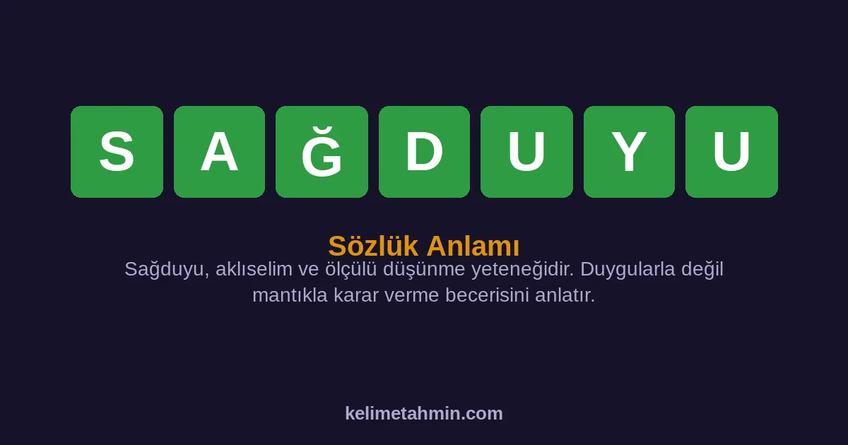 SAĞDUYU SAĞDUYU — anlamı ve örnek cümleler