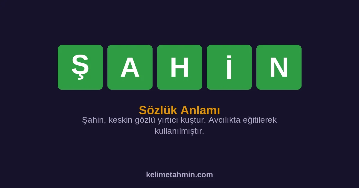 ŞAHİN ŞAHİN — anlamı ve örnek cümleler
