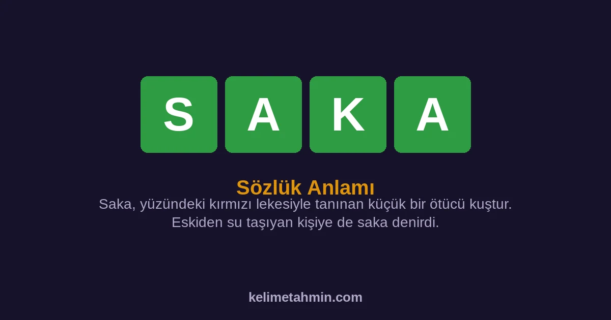 SAKA SAKA — anlamı ve örnek cümleler