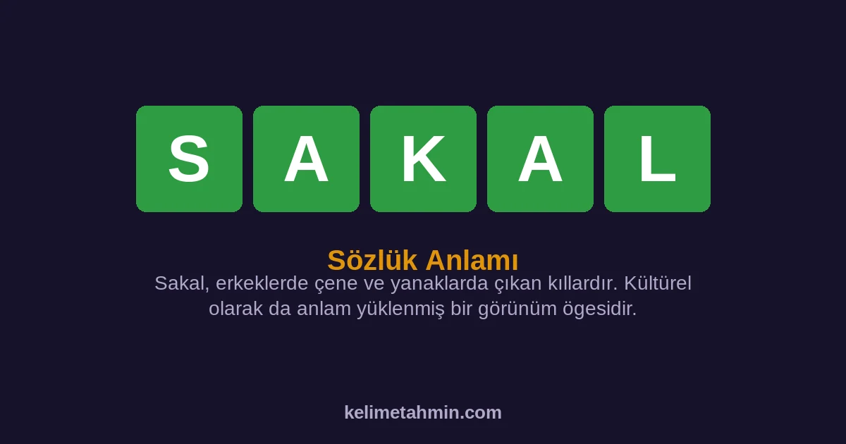 SAKAL SAKAL — anlamı ve örnek cümleler