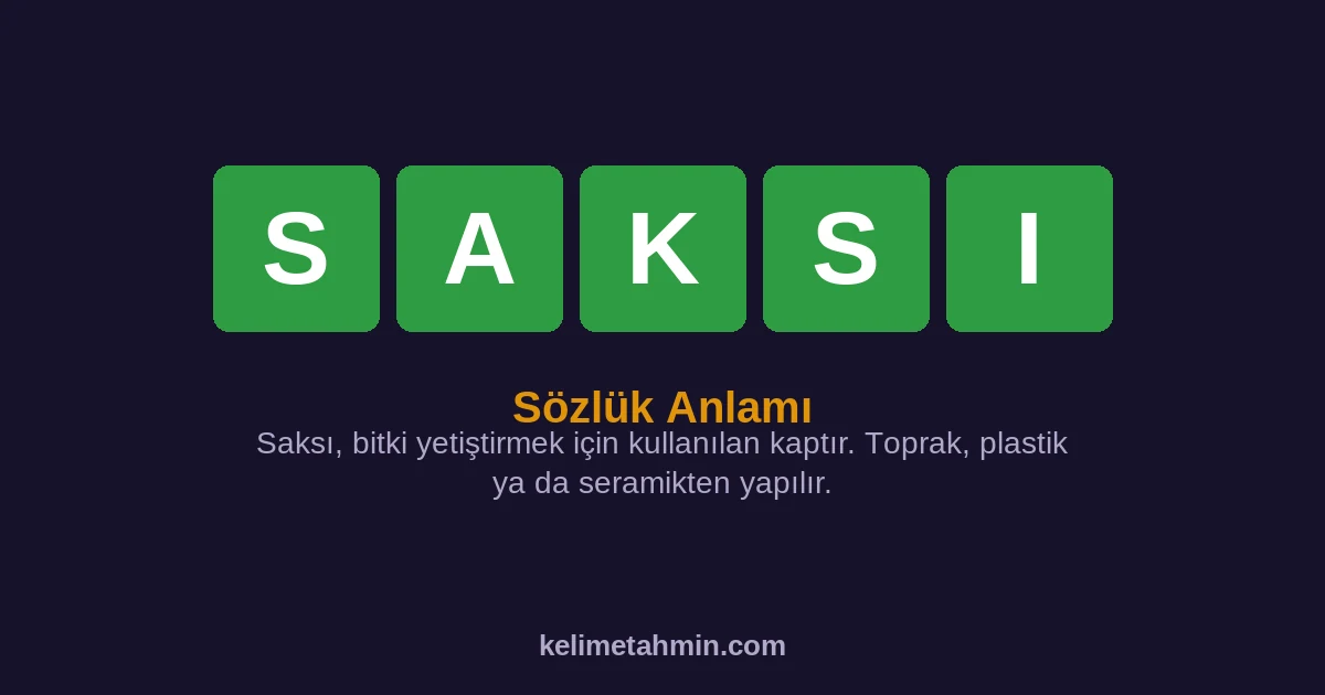 SAKSI SAKSI — anlamı ve örnek cümleler