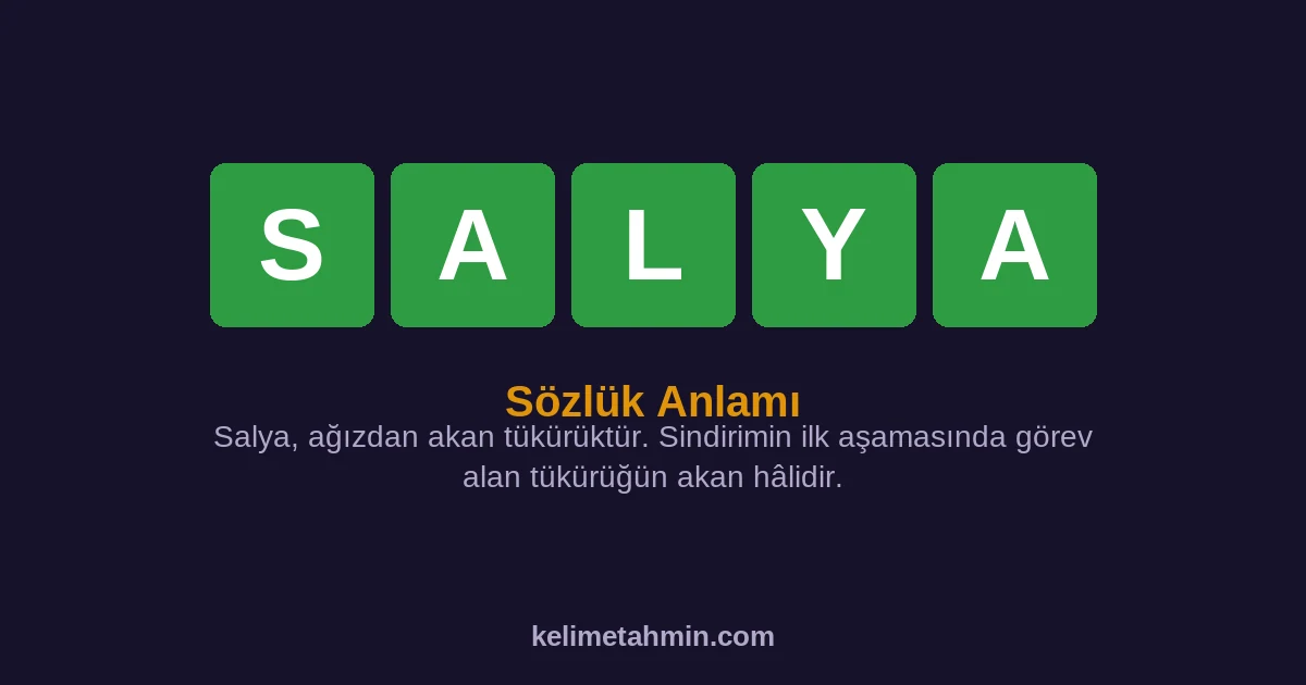SALYA SALYA — anlamı ve örnek cümleler