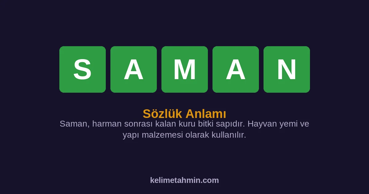 SAMAN SAMAN — anlamı ve örnek cümleler
