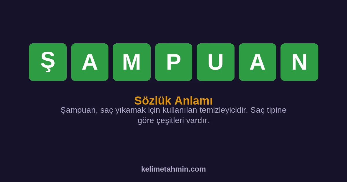 ŞAMPUAN ŞAMPUAN — anlamı ve örnek cümleler