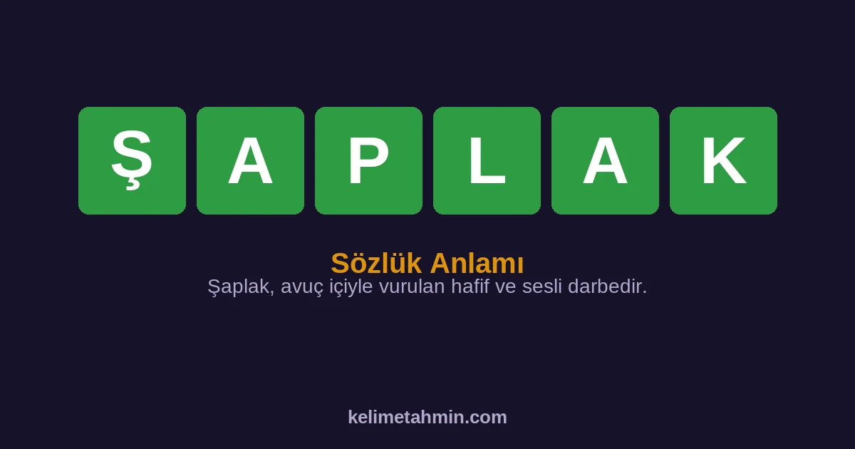 ŞAPLAK ŞAPLAK — anlamı ve örnek cümleler