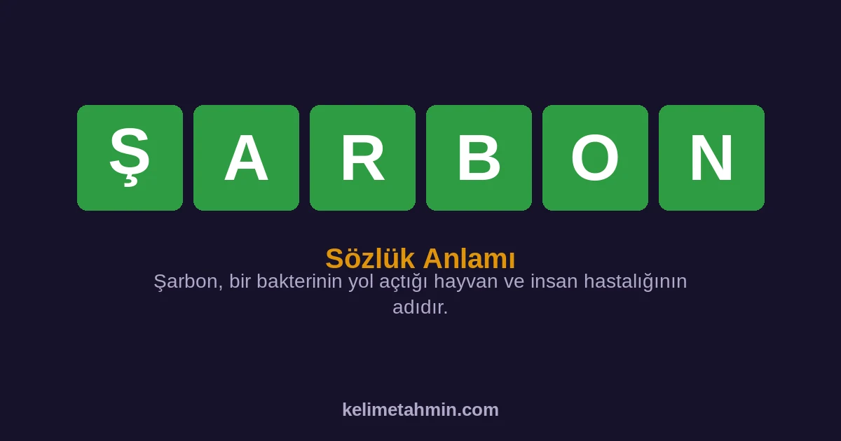 ŞARBON ŞARBON — anlamı ve örnek cümleler